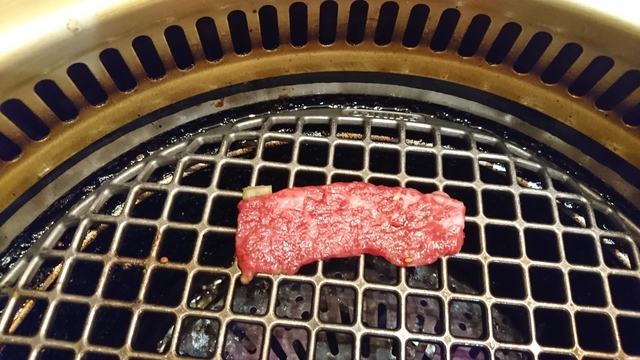 DSC_1660.JPG