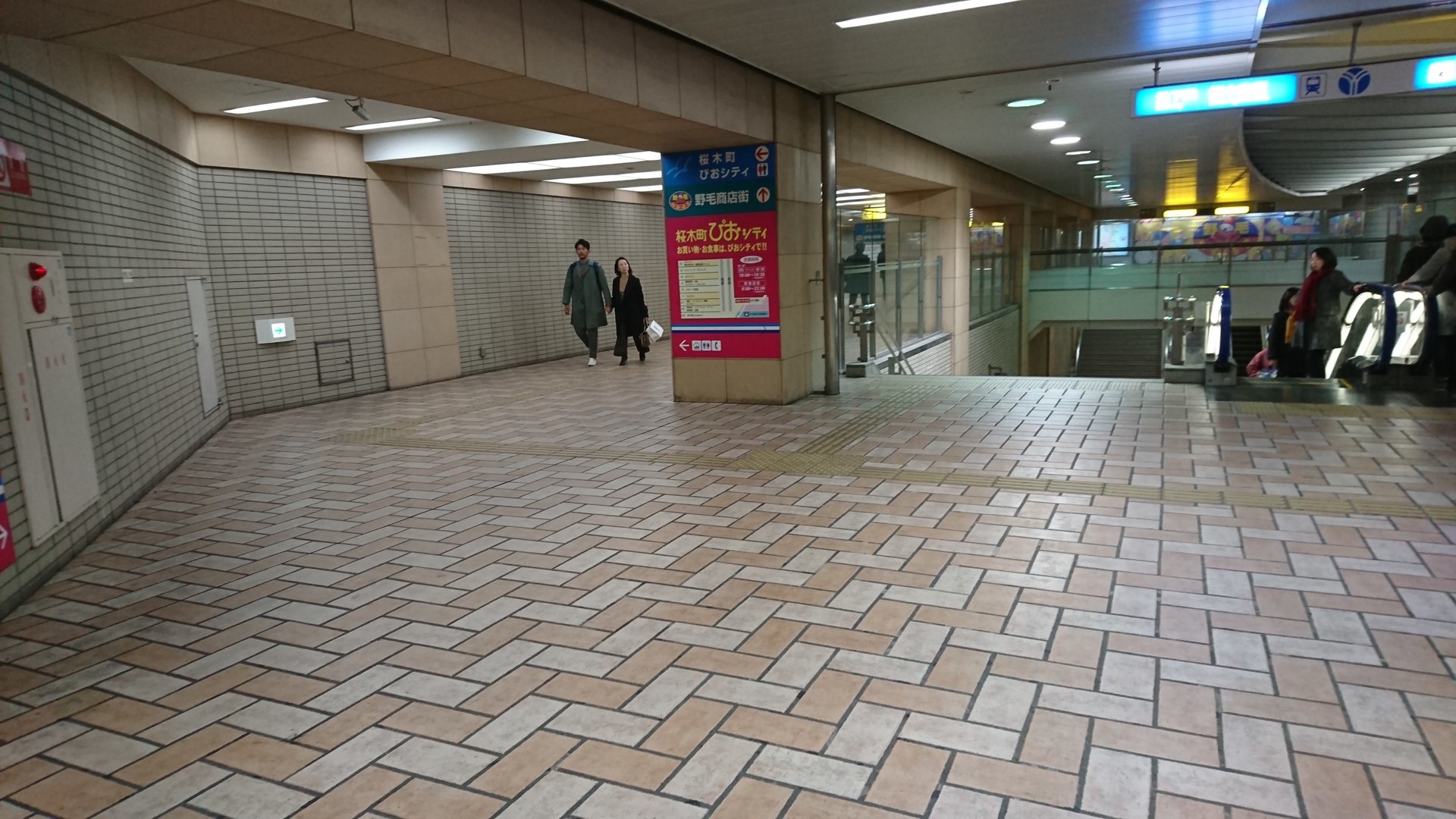 DSC_1244.JPG